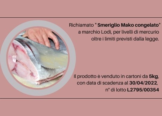 richiamo smeriglio x mercurio.jpg